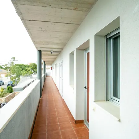 V035 - Mestral 2 로지즈