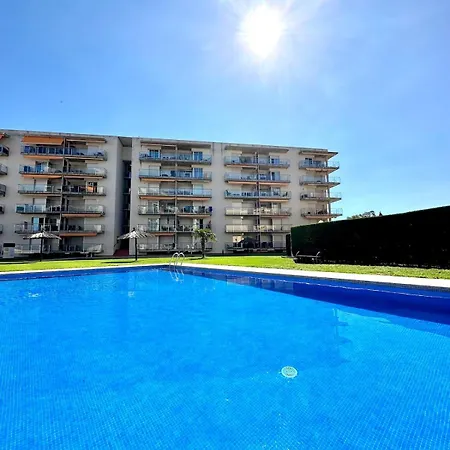 V035 - Mestral 2 로지즈